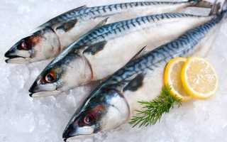 Рецепты приготовления скумбрии в микроволновке: вкусная рыбка без лишних хлопот