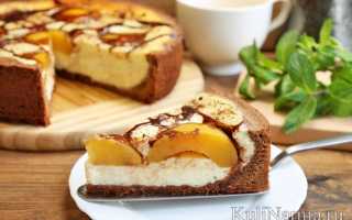 Пирог с персиками и сметанной заливкой: пошаговые рецепты с фото, со сметанным кремом, сметаной, сметанник