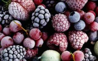 Заморозка на зиму: 20 продуктов, которым место в вашей морозилке