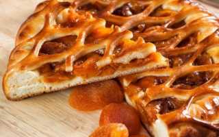 Пирог с курагой — 8 рецептов, как приготовить полезный пирог