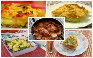 Картофельная запеканка с курицей в духовке — 7 рецептов приготовления