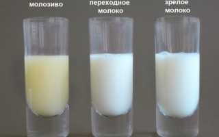 Способы приготовления молозива из коровьего молока