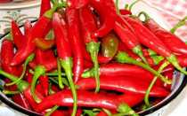 Рецепт перца цицак: 5 вариантов – просто и со вкусом