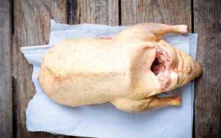 Гусь в рукаве, запеченный в духовке – 10 вкусных рецептов