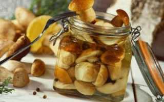 Как мариновать боровики в домашних условиях быстро и вкусно