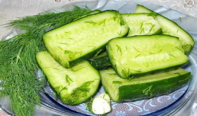 Сухая засолка огурцов