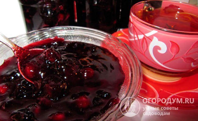 Варенье из терносливы – вкусный и оригинальный десерт, настоящий витаминный запас на зиму