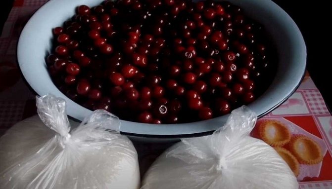 Варенье из вишни с косточками на зиму — 9 простых и вкусных рецептов